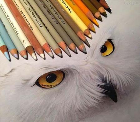 نقاشی های کاملا طبیعی با مداد رنگی (عکس) 1