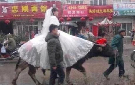 روش جالب رفتن این عروس خانم به خانه بخت! (عکس)