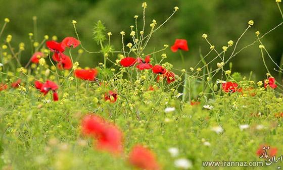 عکس های دیدنی از بهشت گمشده ایران در آذربایجان
