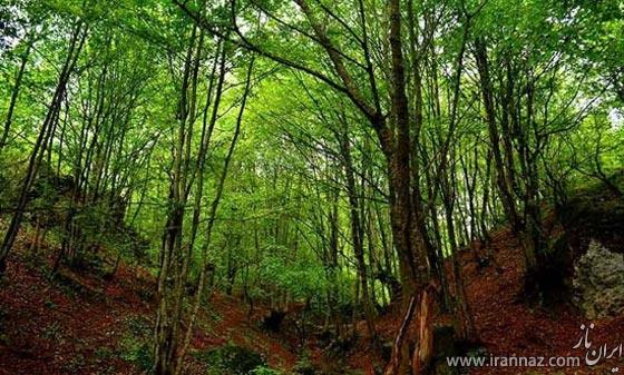 عکس های دیدنی از بهشت گمشده ایران در آذربایجان