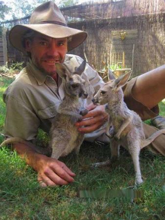 عکس های جالب مرکز نگهداری کانگوروهای یتیم در استرالیا