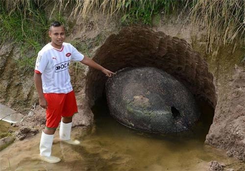عکسهای باورنکردنی از کشف تخم دایناسور در آرژانتین