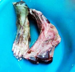 جنجال خوردن پاهای قطع شده انسان در رستوران +عکس 18+