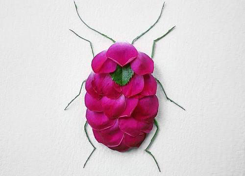 هنر زیبای تبدیل گل به حشرات زیبا (عکس)