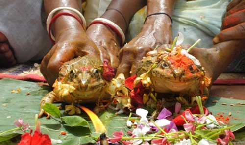 یک عروسی بسیار عجیب و دیدنی در هند (عکس)