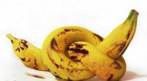 جالب ترین وقشنگ ترین عکس ها روز