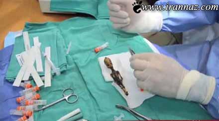 دو عکس دیدنی از انسانهای پانزده سانتیمتری واقعی 1