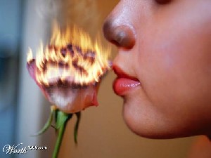 چند نوع مزاج وجود دارد ؟ چند نوع مزاج وجود دارد ؟