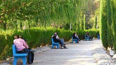 عکس هایی خنده دار و جالب از سوتی های ایرانی