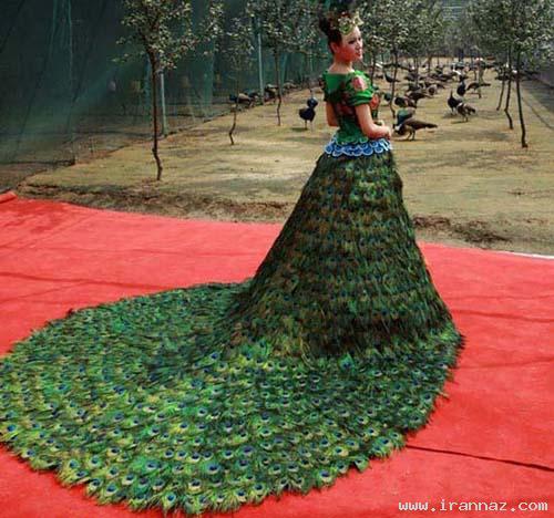 عکس های لباس عروسی جالب با 3 هزار پر طاووس! ، www.irannaz.com