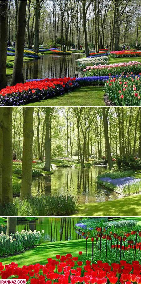 عکس های باشکوه ترین باغ و بوستان های دنیا | irannaz.com