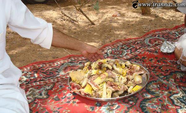 خوردن سوسمار های بیابانی توسط عربها (عکس)
