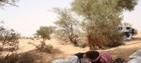 خوردن سوسمار های بیابانی توسط عربها (عکس)