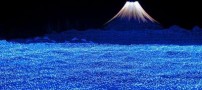 تصاویر باورنکردنی از تونل ساخته شده از نور
