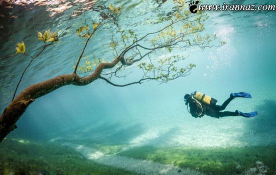 عکس های بی نظیر و دیدنی از پارکی که زیر آب است