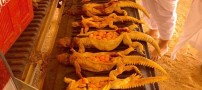 زنی که مهریه اش 100 سوسمار است (عکس)