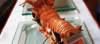 عکس هایی از هنرنمایی با استفاده از خرچنگ