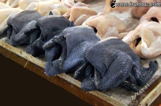 مرغ های بسیار عجیب با گوشت های سیاه (عکس)