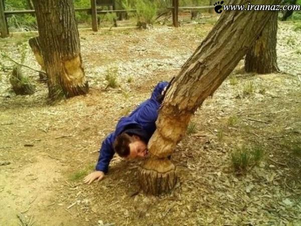 عکس های خنده دار باحال و فوق العاده