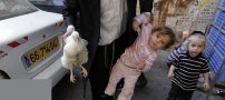 پاک شدن گناهان به وسیله ی این خروس (عکس)