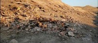 کوه عجیبی که همه ی دنیا را شوکه کرده (عکس)