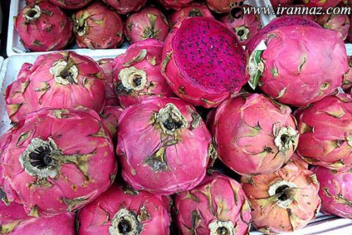 عکس هایی از شب چله ی دیدنی استوایی ها عکس هایی از شب چله ی دیدنی استوایی ها