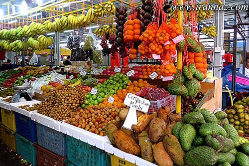 عکس هایی از شب چله ی دیدنی استوایی ها