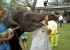 ترسیدن این عروس خانم بخاطر شوخی این فیل (عکس)