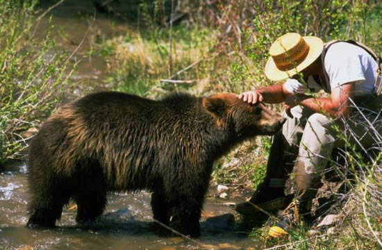 این زوج آمریکایی به خرس ها آموزش بازیگری میدهند!!