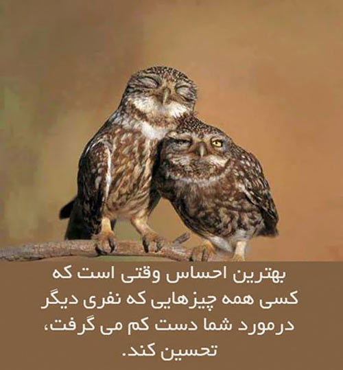 جملاتی بسیار زیبا و الهام بخش برای یک زندگی زیباتر