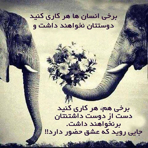 جملاتی بسیار زیبا و الهام بخش برای یک زندگی زیباتر
