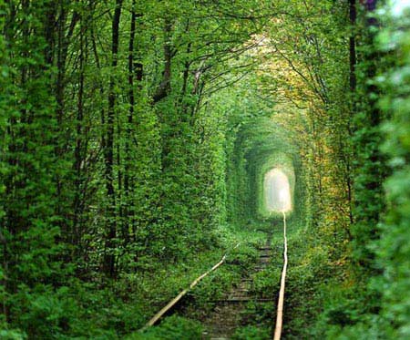 سفری دل انگیز به تونل بسیار زیبای عشق (عکس)