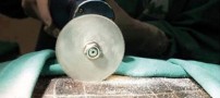 عمل جراحی سزارین روی لاک پشت! (عکس)