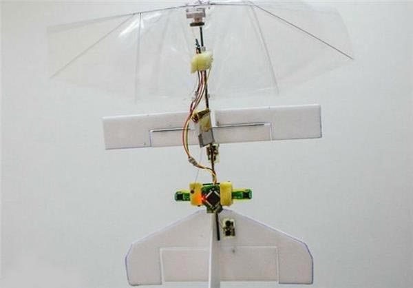 ساخت هواپیمای کوچک بدون سرنشین (عکس)