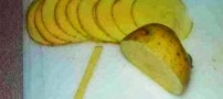 آموزش تصویری تهیه چیپس گل رز زیبا