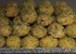 طرز تهیه شیرینی نخودچی با پسته