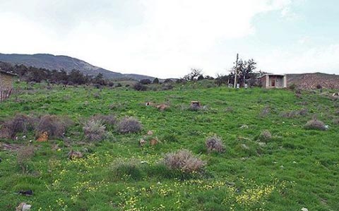 تصاویری جالب از یک قبرستان بسیار قدیمی در ایران