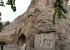 آشنایی با دیدنی های کرمانشاه (عکس)