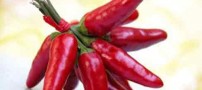معرفی چند ماده غذایی برای پیشگیری از دیابت