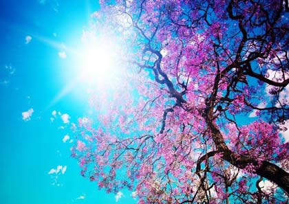 تصاویری زیبا و دیدنی از طبیعت بهار