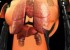 اختراع دسکتاپ انسان و ورود آن به بازار