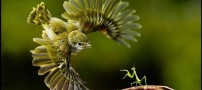 گلچینی از بهترین عکس ها در سال گذشته