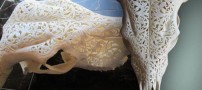 هنر زیبای منبت کاری رو ی جمجمه حیوانات (عکس)
