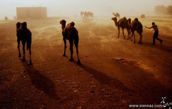 عکسهای تکان دهنده از مهمترین فجایع طبیعی جهان عکسهای تکان دهنده از مهمترین فجایع طبیعی جهان