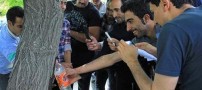 تصاویری بسیار جالب از جوشیدن آب از تنه یک درخت