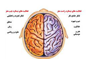 آیا می دانید کدام نیمکره مغزتان فعال است؟