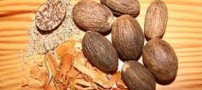 آشنایی با خواص درمانی جوز هندی