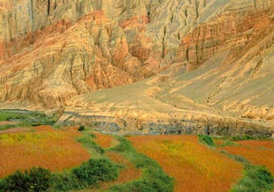 عکس هایی بسیار زیبا از طبیعت
