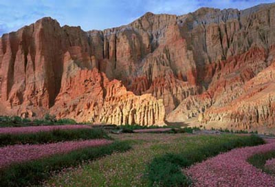 عکس هایی بسیار زیبا از طبیعت