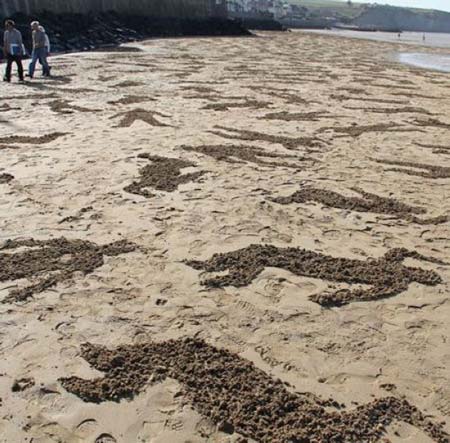 خلاقیت شگفت انگیز دو جوان در کنار ساحل (عکس)
